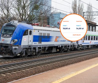 PKP goni czeskiego rywala. Ruszyła promocja, bilety od 19 zł