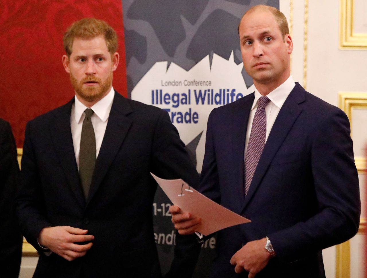 Prince Harry met Prince William after a year!