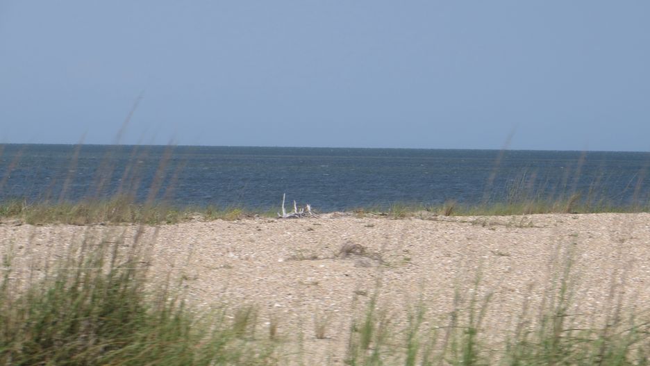 Plaża Cape Hatteras