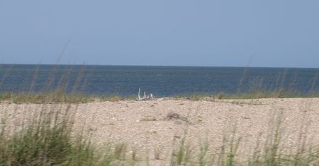 Wykopał dół na plaży. Wydmy go zabiły