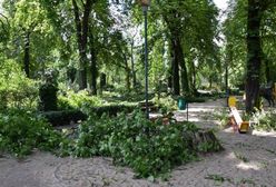 Sobotnia wichura połamała drzewa w Starym Zoo w Poznaniu. Ogród cały czas jest zamknięty