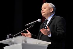 Andrzej Stankiewicz: Upadłe anioły prezesa