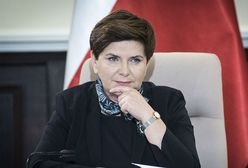 Pół roku rządu PiS. Paweł Lisicki: ofensywa Beaty Szydło