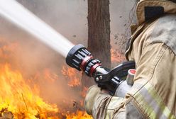 Zakaz wstępu do lasu w 13 nadleśnictwach w Polsce. Powodem zagrożenie pożarowe