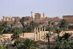 Palmira zdobyta po raz drugi. Sukces wojsk syryjskich i lotnictwa Rosji