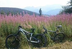 Tatry staną się rowerowym centrum Polski? Będzie nowa trasa wokół gór