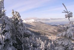 Wiosna w Beskidach, ale na nartach można jeszcze pojeździć. Sprawdź gdzie są najlepsze warunki