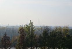 Nowa Huta chce być uzdrowiskiem: nasza woda też jest lecznicza, np. pomaga na kaca