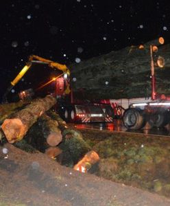 Tragiczne wypadki w Wielkopolsce. Koło Rawicza z naczepy tira spadły drewniane kłody, przygniatając jadące z tyłu auto