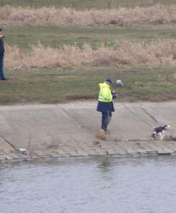 Sprawa zaginięcia Ewy Tylman. Psy tropiące niemieckiej policji szukały śladu 26-latki