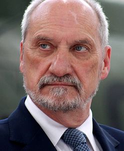 Siła Macierewicza. Paweł Lisicki: pierwsze miejsce ministra obrony