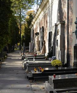 Dekomunizacja Powązek. Dr Bukowski dla WP: "to najlepszy moment"