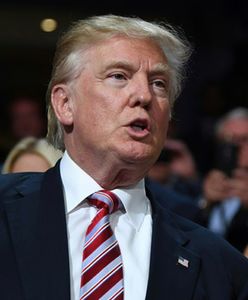 Jens Stoltenberg i rzecznik Putina odpowiadają na słowa Donalda Trumpa ws. NATO