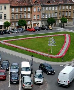 Plac Kolegiacki stanie się alternatywą dla hałaśliwego Starego Rynku?
