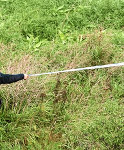 W jeziorze w Chałupskach znaleziono ciała dwóch młodych kobiet. Zatrzymano trzy osoby. Dwie osoby usłyszały zarzut podwójnego zabójstwa