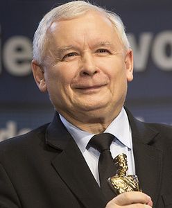 Sondaż TNS Polska. Paweł Lisicki: Polacy pokochali PiS