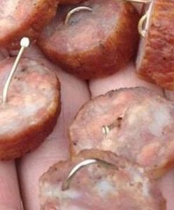 Gwoździe w kiełbasie, trutka w karmie dla kotów. Dlaczego ktoś próbuje zabić zwierzęta swoich sąsiadów?