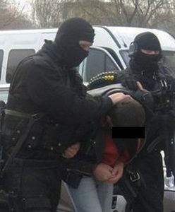 Policja uderza w gangi papierosowe. Seria zatrzymań w całym kraju