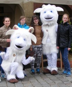 Urzędnikom z Poznania nie podobają się koziołki pozujące do zdjęć z turystami