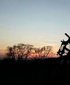 Rowery będą zasilały oświetlenie choinek na Rynku Głównym w Krakowie