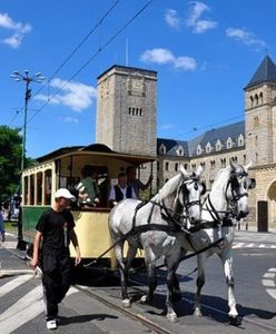 Parada zabytkowych tramwajów i autobusów oraz piknik w zajezdni na 135. urodziny MPK Poznań