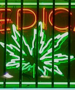 Kanada zezwala chorym na hodowlę marihuany