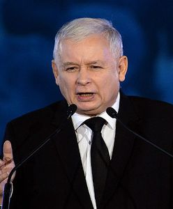 Paweł Lisicki: podzielona władza PiS