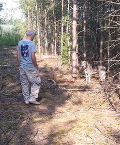 Ktoś przywiązał psa do drzewa w środku lasu pod Jarocinem