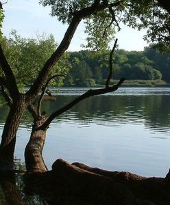 Poznańscy policjanci nadal szukają mężczyzny, który poszedł się kąpać w Rusałce i nie wrócił
