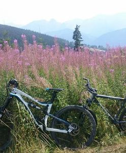 Tatry staną się rowerowym centrum Polski? Będzie nowa trasa wokół gór