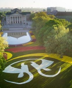 Dywan z 800 tysięcy tulipanów przed poznańską operą