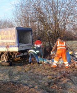 Ustawa o odpadach nie pomogła - w lasach dalej pełno śmieci