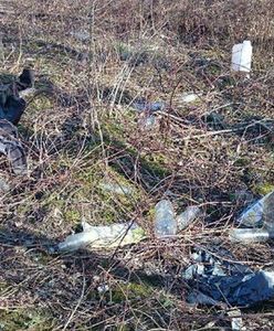 Jest tak brudno, że "pękają oczy". Tyscy urzędnicy rozkładają ręce