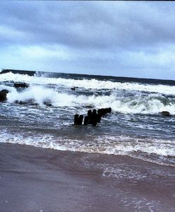 Alarm przeciwpowodziowy na Żuławach. Cofka także na Świnie i Odrze