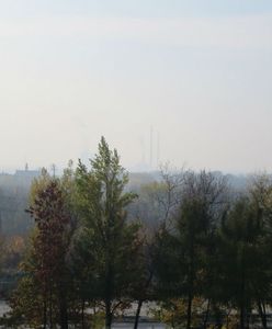 Nowa Huta chce być uzdrowiskiem: nasza woda też jest lecznicza, np. pomaga na kaca