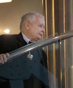 Jarosław Kaczyński zabrał głos w sprawie umowy CETA: obawy nie są uzasadnione