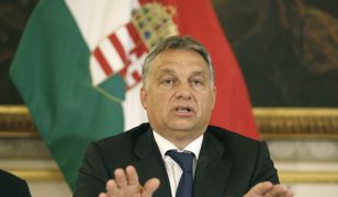 Węgry Viktora Orbana wzorem dla PiS? Prof. Góralczyk: to spełnienie marzeń Putina