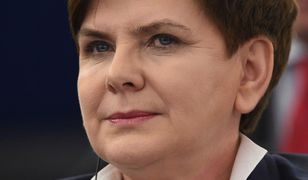 Paweł Lisicki: gdybym był komisarzem