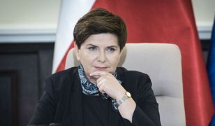Pół roku rządu PiS. Paweł Lisicki: ofensywa Beaty Szydło