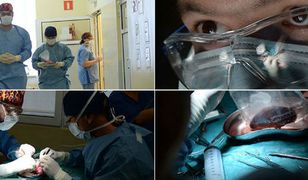 Pierwszy w Polsce przeszczep łańcuchowy nerek