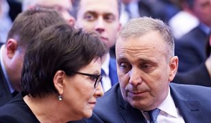 Kolejny duży błąd PO? "Mogą skończyć jak SLD"