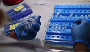 W Waszyngtonie wręczono pierwszą Amerykańsko-Polską Nagrodę Naukową