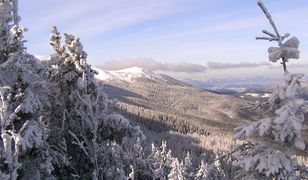 Wiosna w Beskidach, ale na nartach można jeszcze pojeździć. Sprawdź gdzie są najlepsze warunki