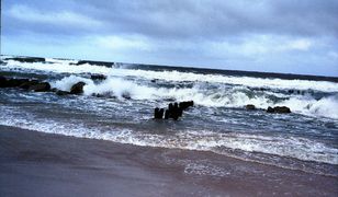 Orkan Barbara zbiera plony. Brak prądu z powodu silnego wiatru i sztorm na Bałtyku