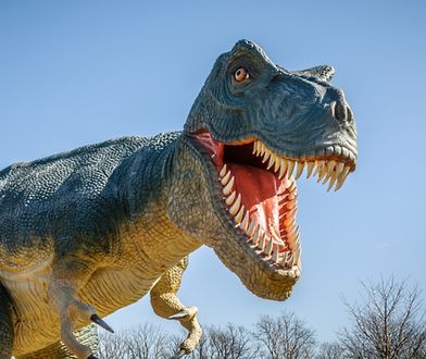 Dinozaury wymierały przed uderzeniem asteroidy