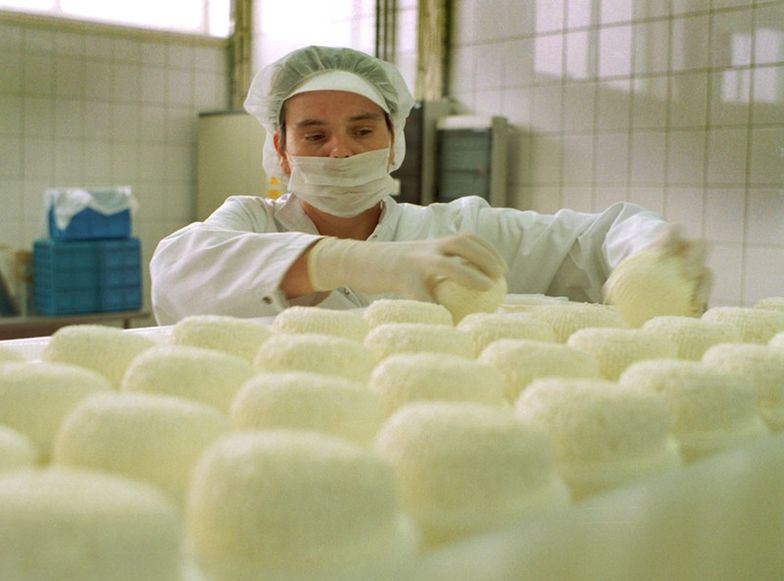 Branża mleczarska w Polsce. Mlekovita buduje nową fabrykę