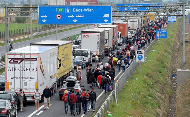 6500 uchodźców dotarło do Austrii, część jest w drodze do Niemiec