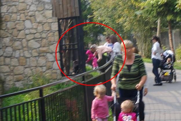 Gdy do zoo przychodzi ktoś, kto nie umie się zachować...