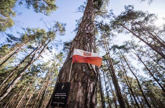 Pojednawczy gest Rosjan? Rozbudują katyńskie muzeum, powstanie memoriał upamiętniający oficerów