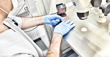 Sąd zakończył postępowanie ws. pomyłki in vitro w Policach
